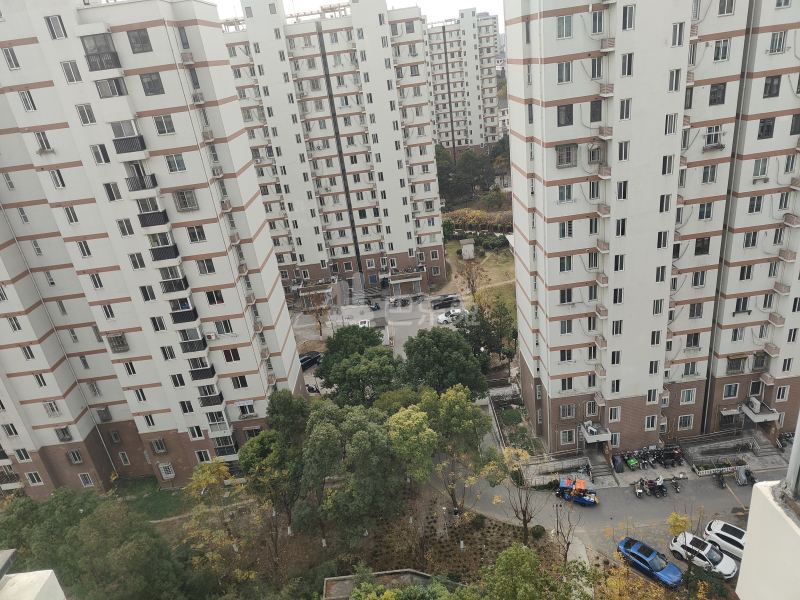 高行绿洲六期10102276周边环境图10