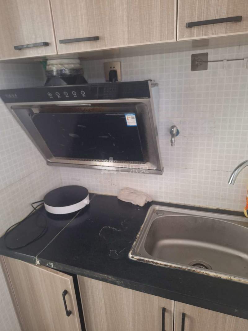 泰翔嘉苑10114698厨房图4