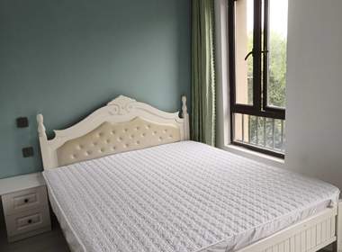 绿地布鲁斯小镇一期（惠园路2000弄） 