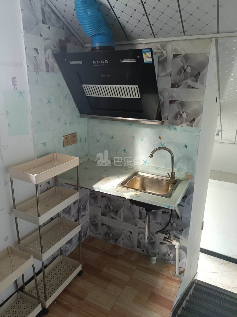 新场大街319弄10149166厨房图8