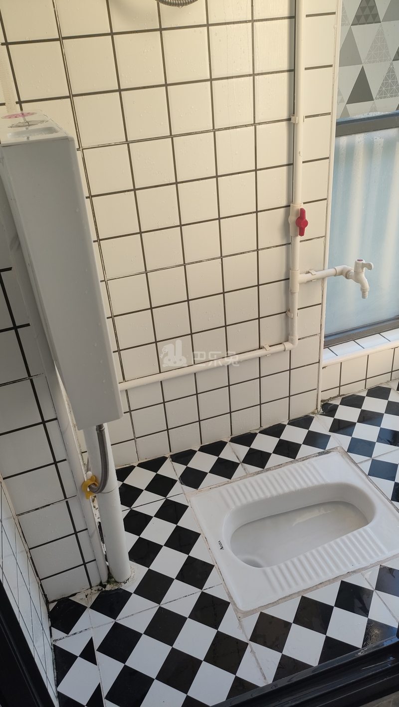 蓝虹雅苑10151862卫生间图7