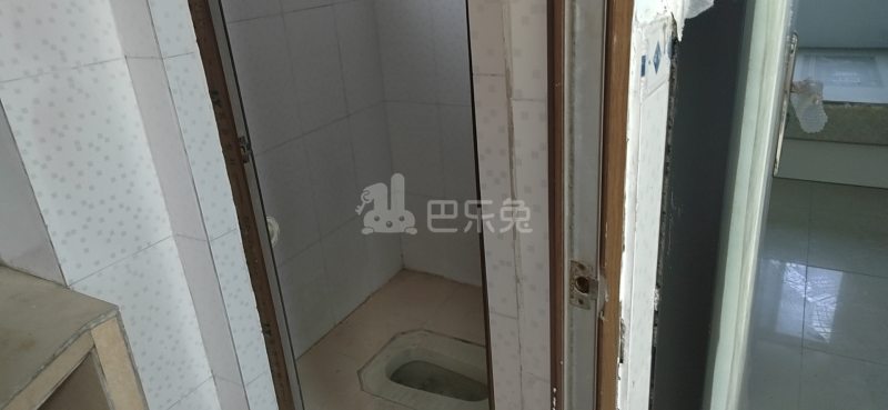 清布村10176346卫生间图1