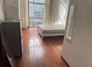 榴莲公寓（二联家园店） 1室0厅1卫