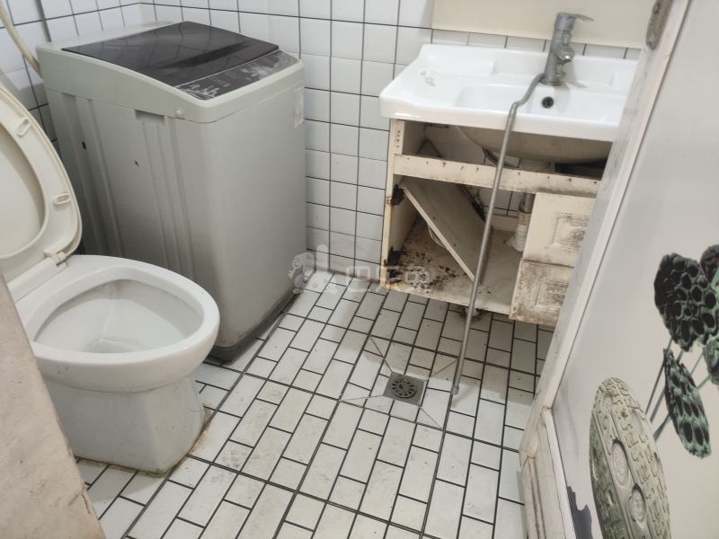 英雄村（民房）10191239卫生间图5