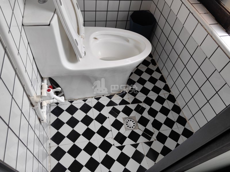 园丁楼10220067卫生间图5