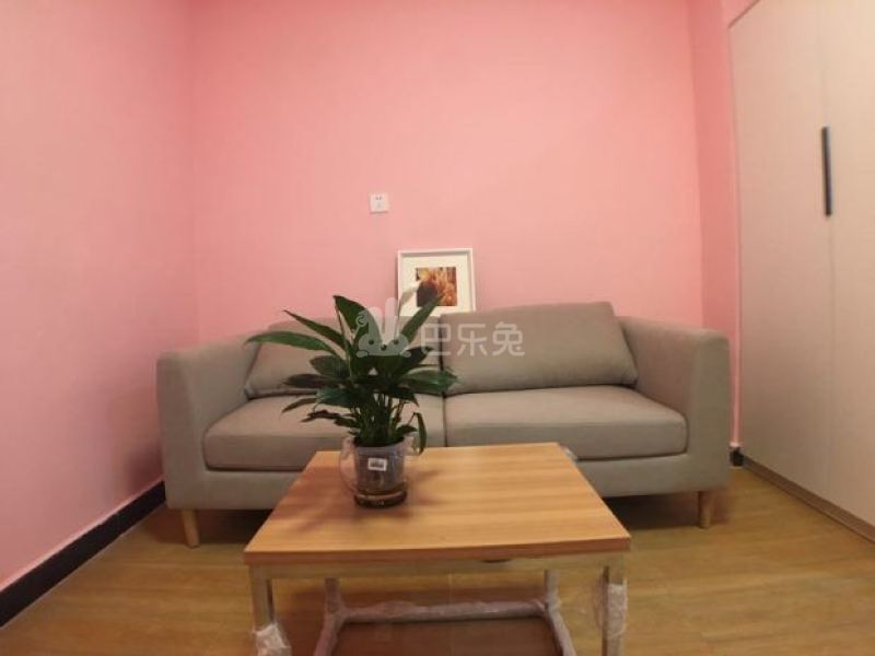 深丰公寓1022899客厅图3