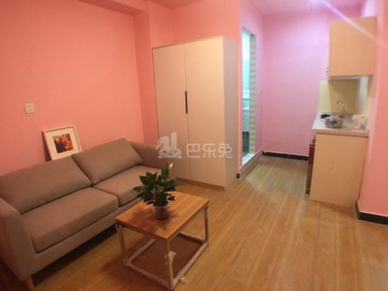 深丰公寓1022899客厅图4