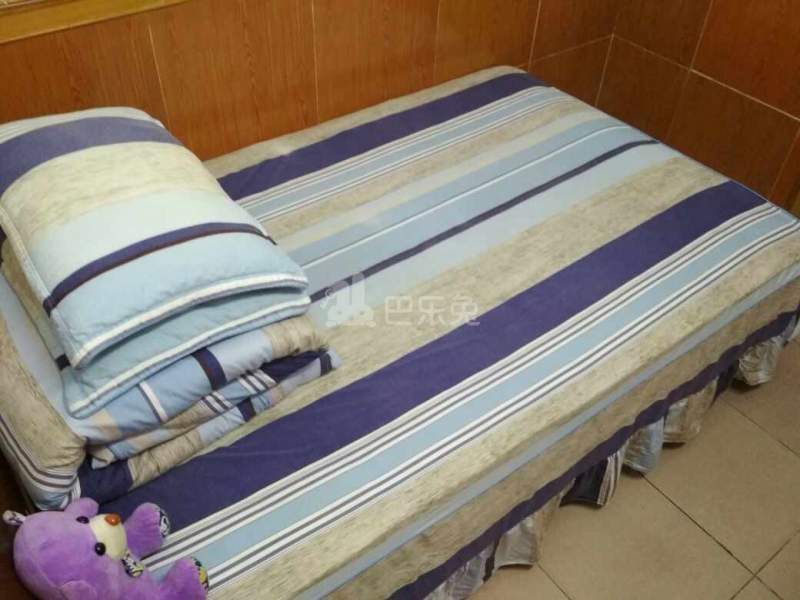 向银路24号1024925卧室图7