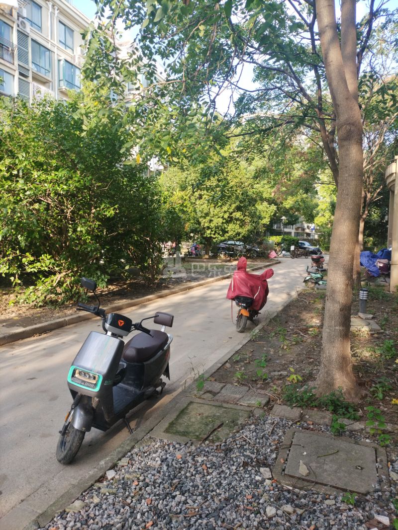 美林小城10335415周边环境图12