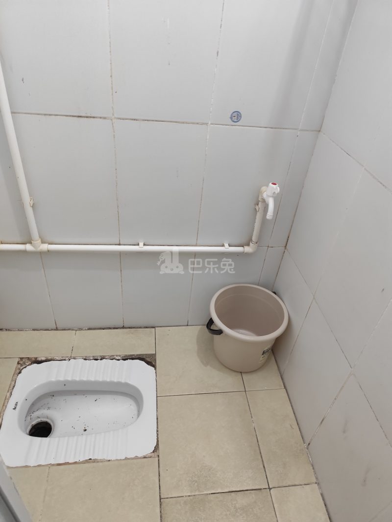 南贸花园1036169卫生间图4