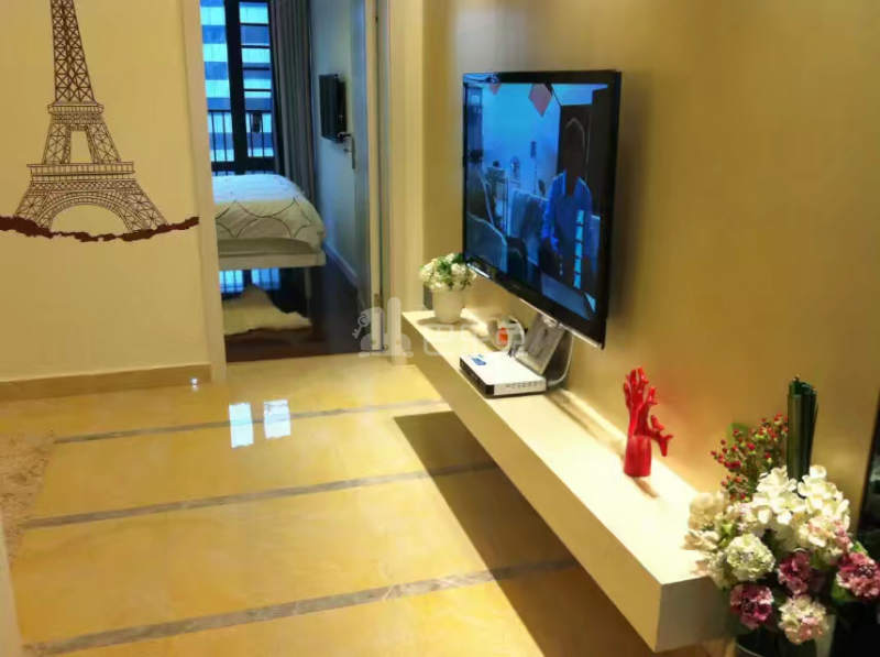 深港公寓（东门店）1041662客厅图3