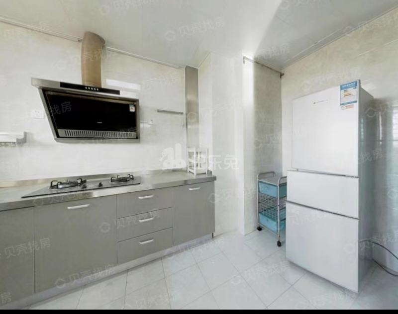 天正滨江10726893厨房图5