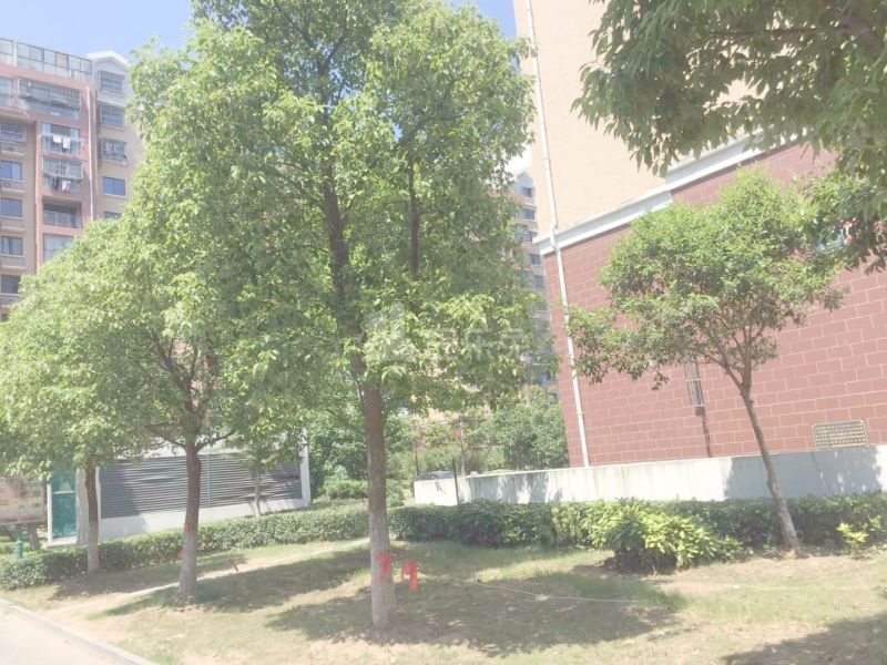 都会四季西区（云逸都荟花园西园）10802578周边环境图7