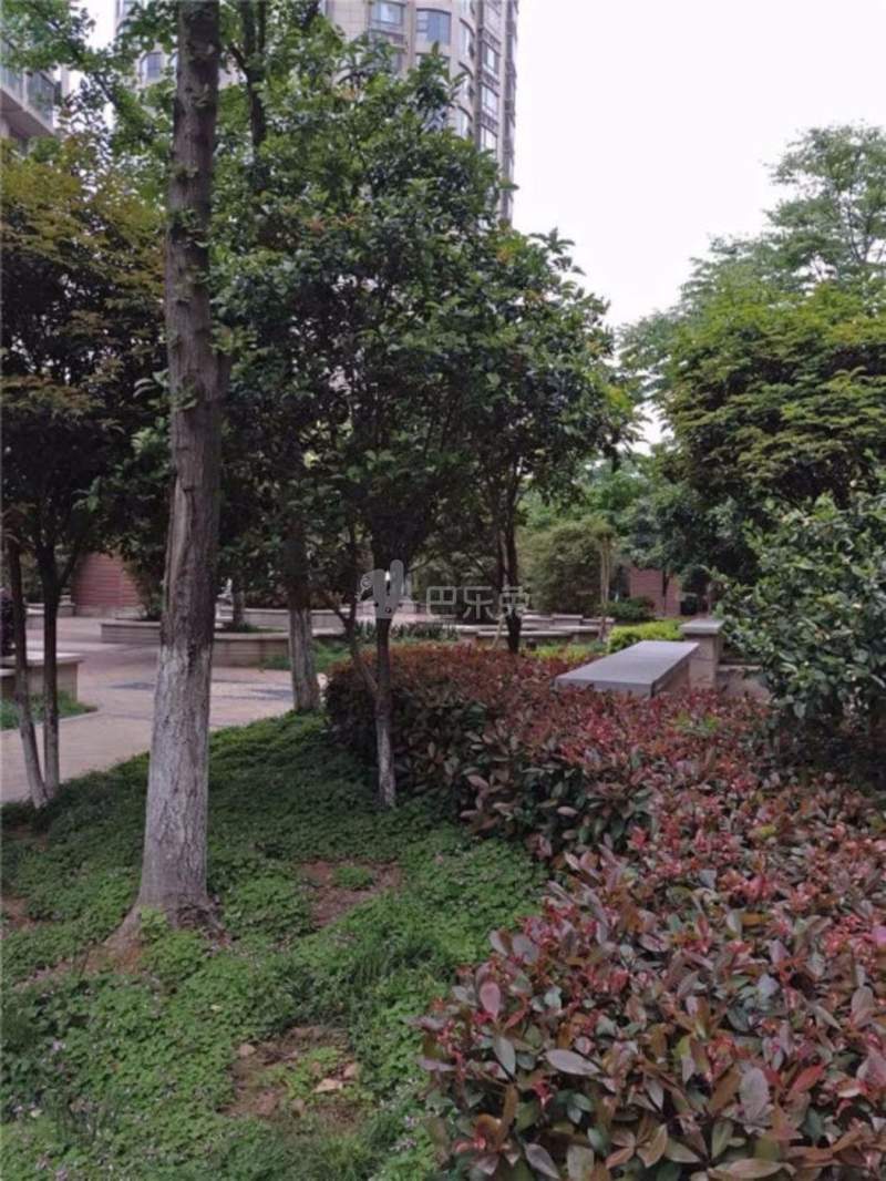 天元瑞沨名苑10815761周边环境图5