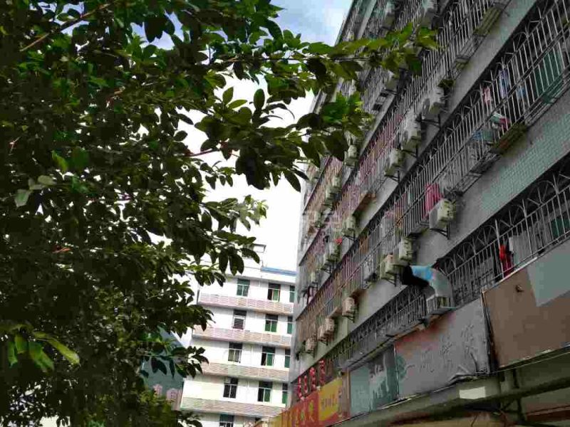 聚宝路165号1083490周边环境图8