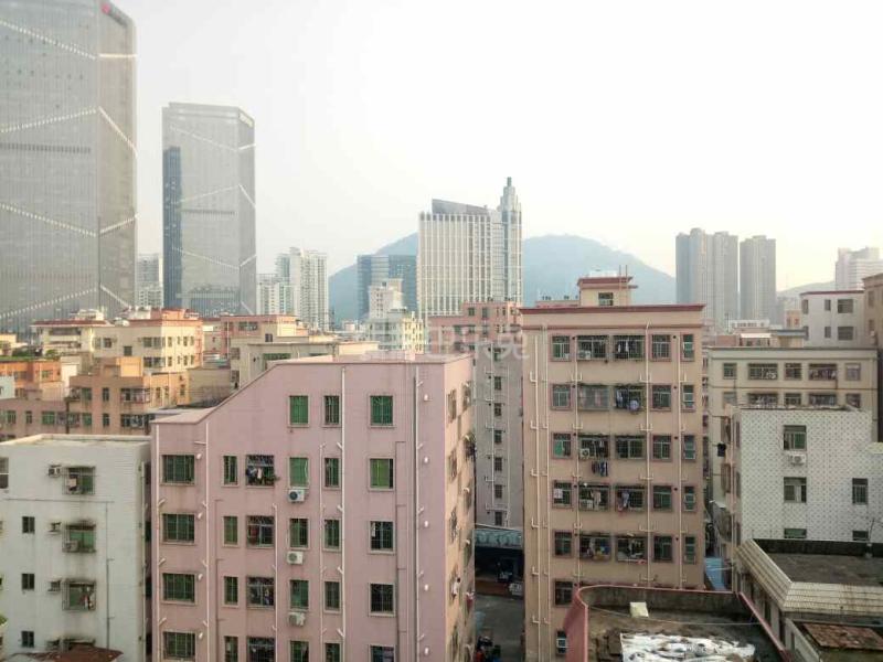 南山村17433530周边环境图0