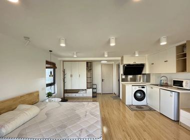 太平南路222号 1室1厅1卫