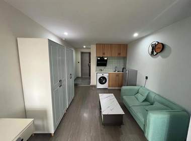 新大都广场 1室1厅1卫