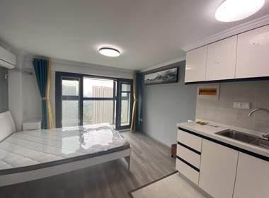 龙湖北宸星座 1室1厅1卫