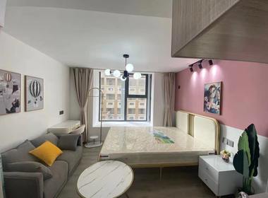 星悦城 1室1厅1卫