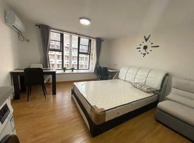 星悦城 1室1厅1卫