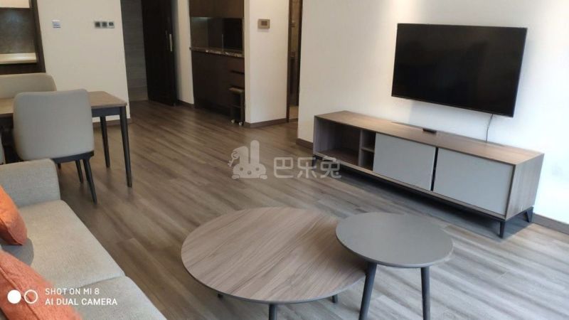 明尚东苑10950321客厅图4