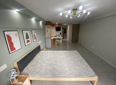 龙湖北宸星座 1室1厅1卫