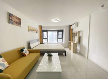 龙湖北宸星座 1室1厅1卫