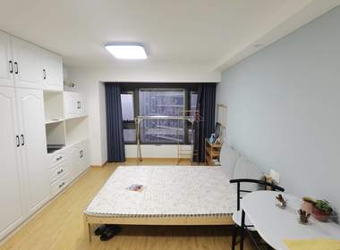 龙湖北宸星座 1室1厅1卫