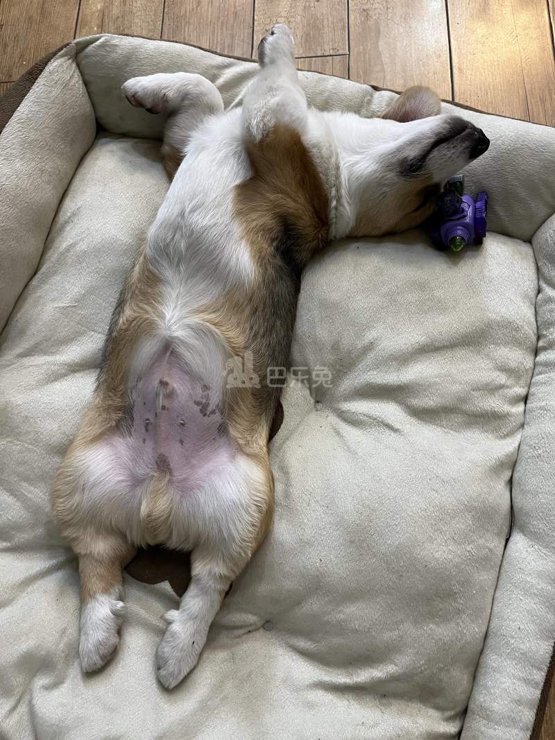 金盾公寓11275517周边环境图11