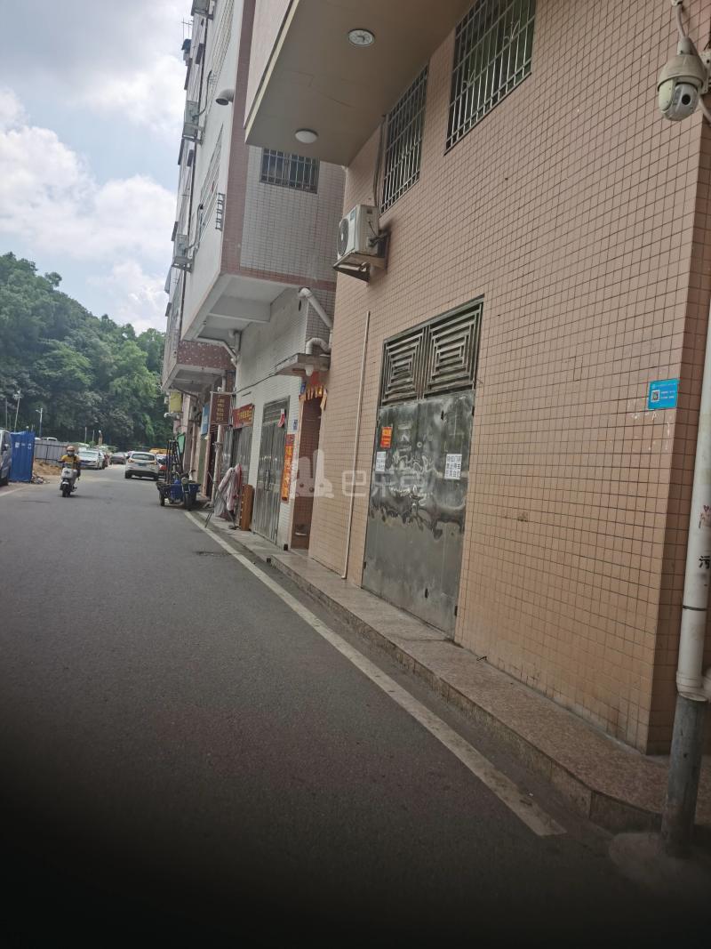 元下田村（元下田三路21号）11296983周边环境图3