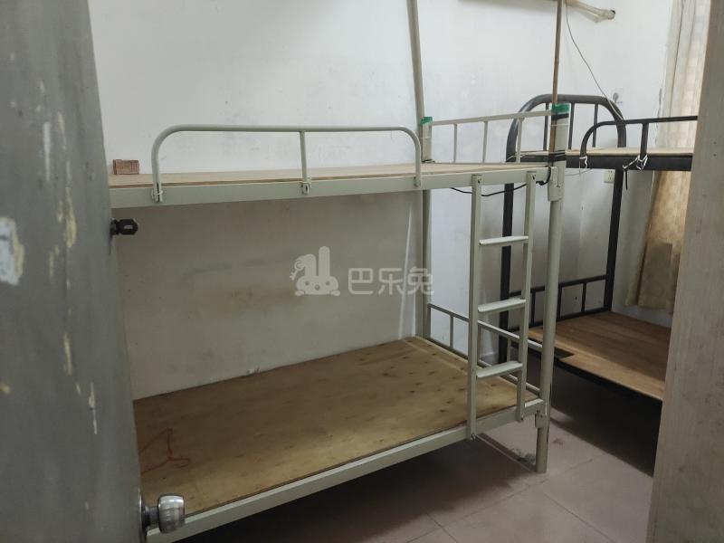 万育园1栋11628590卧室图0