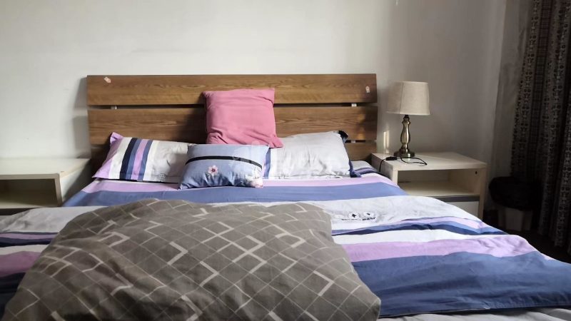 前半山园12号11682544周边环境图1