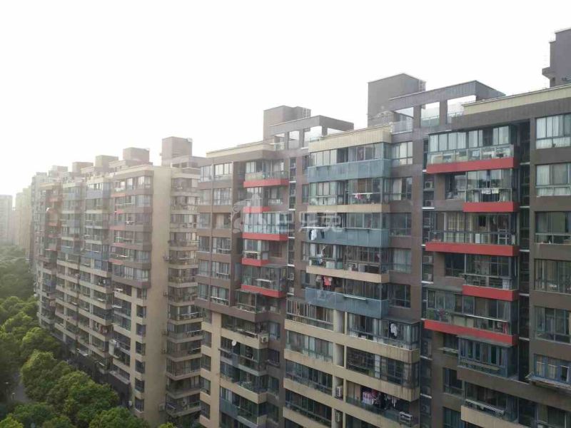 中环一号一期8130881周边环境图9