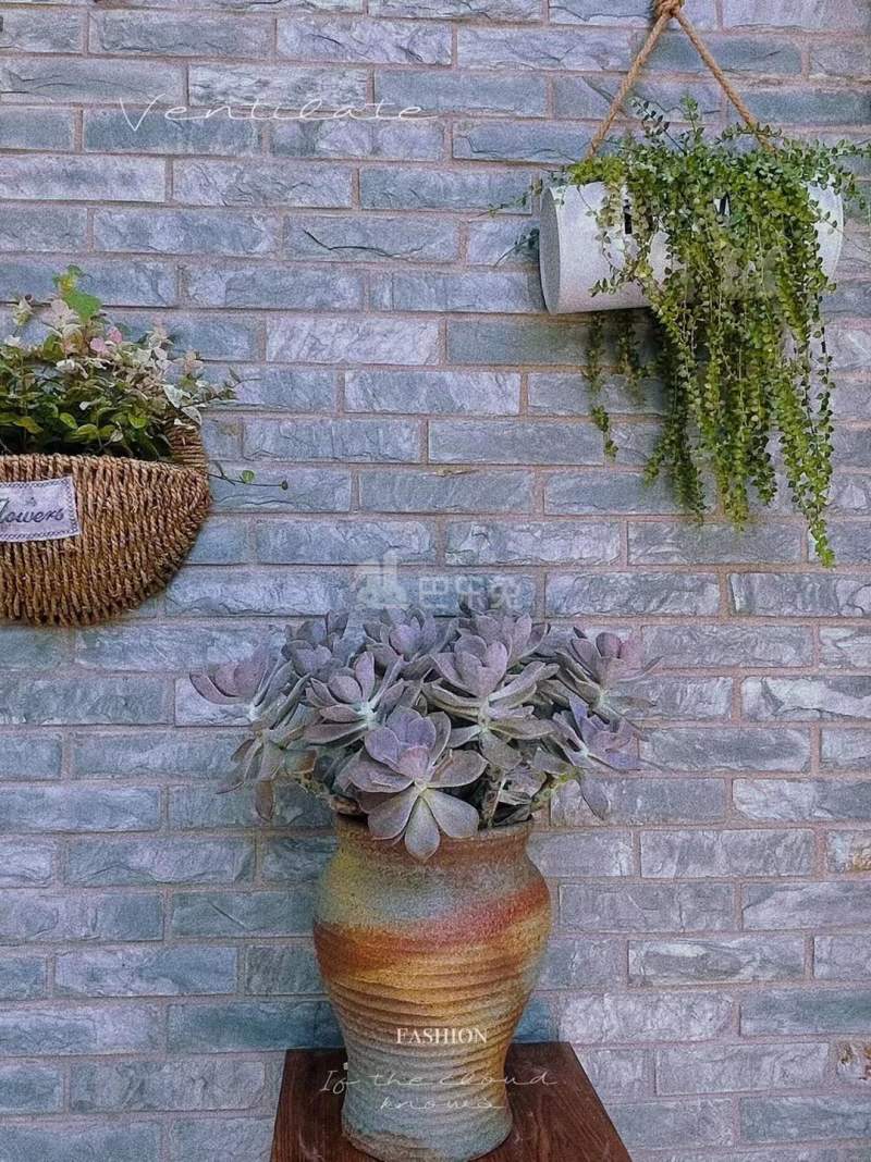 凤翔山庄二四区11773608周边环境图3