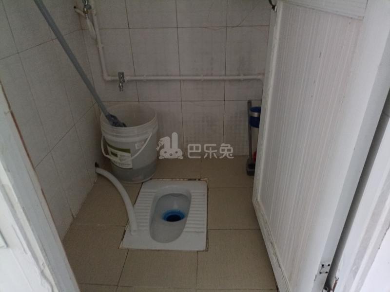 南油B区36栋11870310卫生间图4