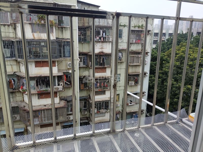 南油B区36栋11870312卧室图3