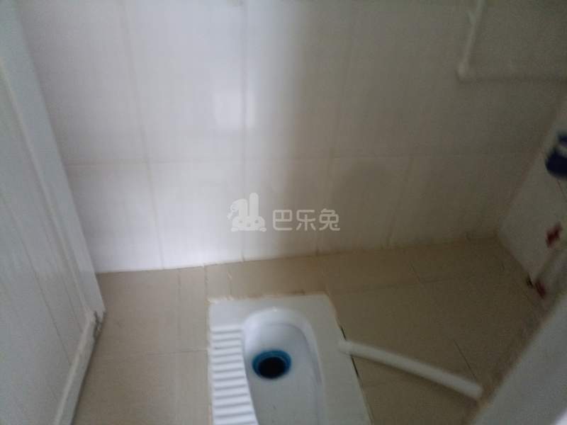 南油B区36栋11870312卫生间图5