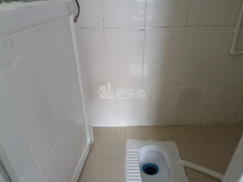 南油B区36栋11870312卧室图4