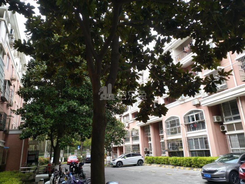 外冈新苑11874987周边环境图14