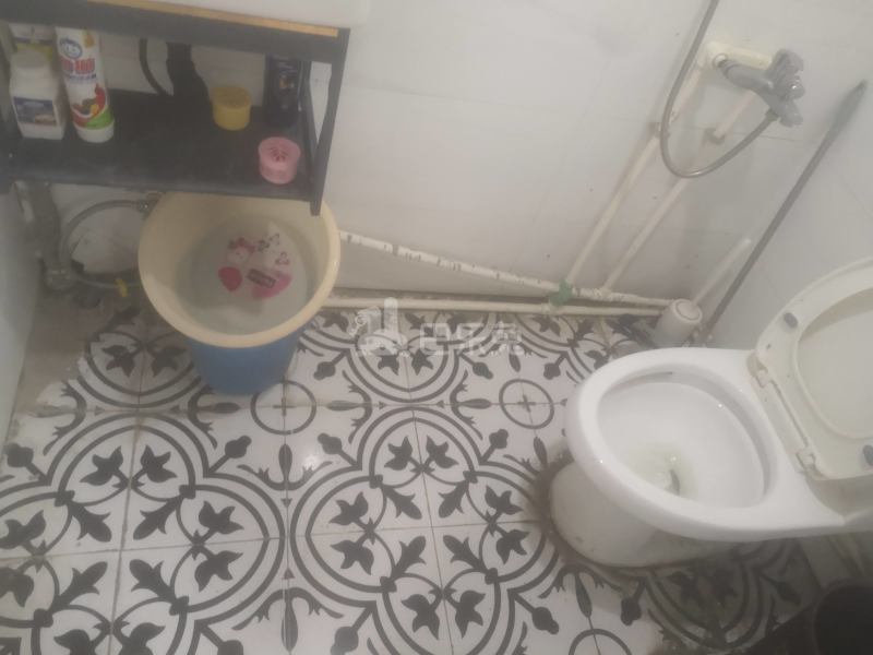 英郡雷丁小城11934568卫生间图4