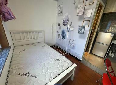 明珠公寓（振新店） 1室0厅1卫