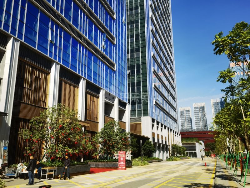 紫荆花园（金稻田路）11979201周边环境图11