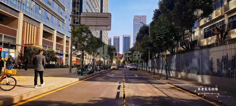 紫荆花园（金稻田路）11979201周边环境图10