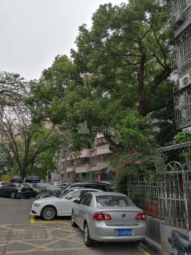 紫荆花园（金稻田路）11979201周边环境图4