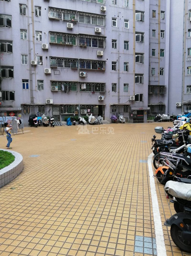 紫荆花园（金稻田路）11979201周边环境图6