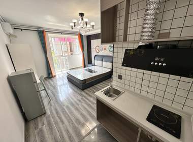 江岸水城 1室1厅1卫