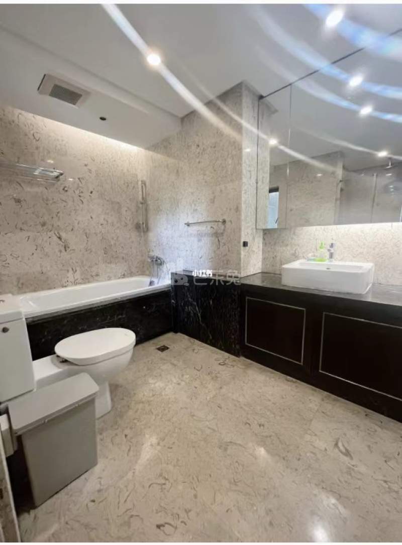 华侨城新玺12035902周边环境图4