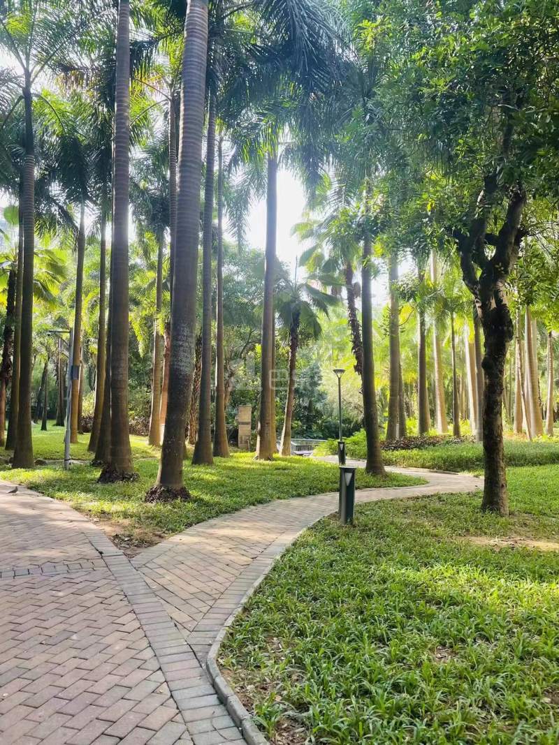 华侨城新玺12035902周边环境图6