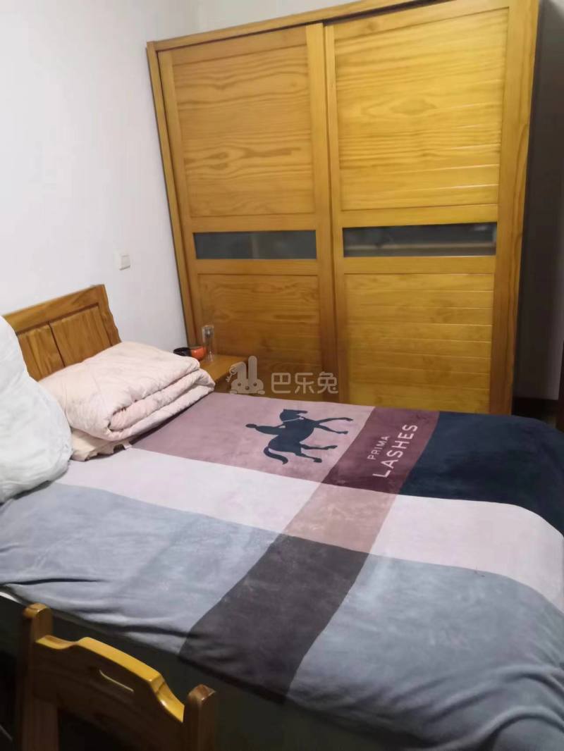 桃园新城中虹佳园西区12052905周边环境图3